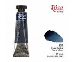 Краска акварельная ROSA Gallery Серая Пейна 10 мл (3211737)