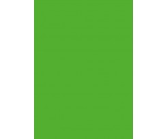 Папір для дизайну Folia Tintedpaper В2 №55 темно-салатовий 130 г/м2 (16826755)