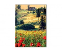 Блокнот Optima Nature of Ukraine маки А4 96 листов (O20378-03)