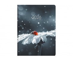 Дневник датированный 2026 Economix Color A5 336 страниц принт (E21899)