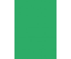Папір для дизайну Folia Tintedpaper А4 №54 смарагдово-зелений 130 г/м2 (16826454)