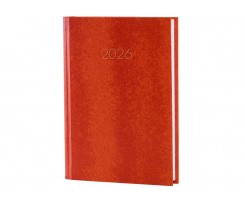 Дневник датированный 2026 Economix Snake A5 336 страниц оранжевый (E21633-06)