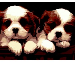 Картина по номерам ZiBi Art Line Близнецы 40х50 см (ZB.64242)