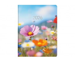Дневник датированный 2026 Economix Color A5 336 страниц принт (E21864)