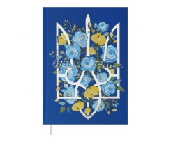 Дневник недатированный Buromax Free А5 288 страниц синий (BM.2064-02)