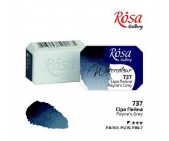 Краска акварельная ROSA Gallery Серая Пейна 25 мл (343737)