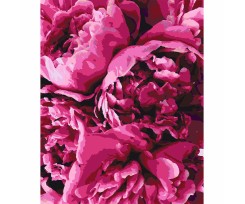 Картина по номерам Santi Королевские пионы 40х50 см (953815)
