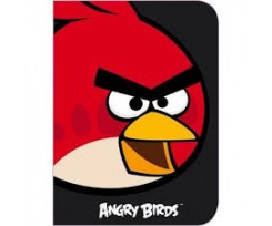 Папка-пенал для зошитів В5 Cool For School Angry Bird пластик (AB03300)