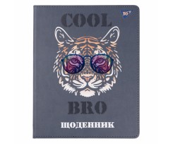 Щоденник шкільний Yes Cool dude А5 40 аркушів сірий (911391)