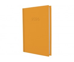 Дневник датированный 2026 Economix Satin A5 336 страниц оранжевый (E21612-06)