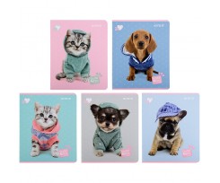 Зошит шкільний Kite Studio Pets 24 аркуша лінія (SP22-239-1)