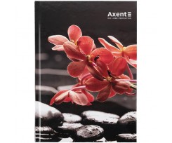 Книга записна Axent А5 96 аркушів клітинка R&B Flower (8457-7-A)