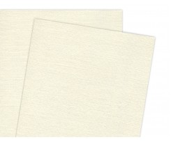 Папір картковий тиснений А1 (62*94см), 200г/м2, палевий, текстура холст, ГОЗНАК
