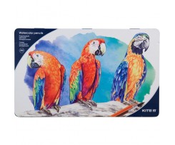 Карандаши цветные Kite Птицы 4 мм 36 штук ассорти (k18-1054)