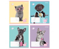 Зошит шкільний Kite Studio Pets 12 аркушів коса лінія (SP22-235)