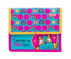 Папка для тетрадей 1 Вересня Owl В5 пластиковая на резинке (491847)
