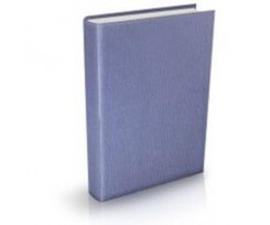 Дневник недатированный Economix Вельвет А6 320 страниц синий (E21734-02)