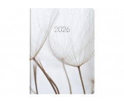 Дневник датированный 2026 Economix Color A5 336 страниц принт (E21871)