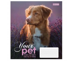 Тетрадь 1 Сентября Dog loyality А5 18 листов линя (765431)
