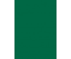 Папір для дизайну Folia Tintedpaper В2 №58 хвойно-зелений 130 г/м2 (16826758)