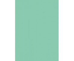 Папір для дизайну Folia Tintedpaper А4 №25 зелено-м'ятний 130 г/м2 (16826425)