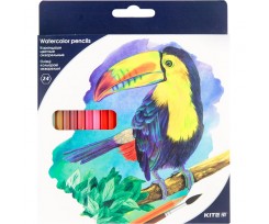 Карандаши цветные Kite Птицы 3 мм 24 штуки ассорти (k18-1050)