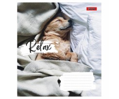 Зошит для записів 1Вересня Relax choose 48 аркушів лінія (766727)