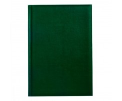 Ежедневник недатированный Economix Basic А5 зеленый (E22028)