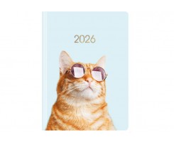 Щоденник датований 2026 Economix Color A5 336 сторінок кольорова (E21843)