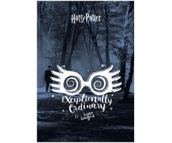 Блокнот-планшет Kite Harry Potter A5 50 листов ячейка (HP23-194-1)