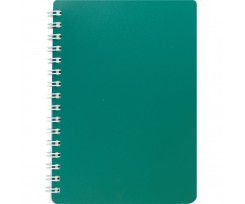 Книжка для записів А6 Buromax Classic 80 аркушів пластикова обкладинка зелена (BM.2589-004)
