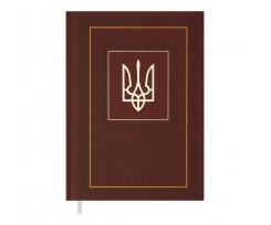 Дневник недатированный Buromax Nation A5 288 страниц линия коричневый (BM.2006-25)