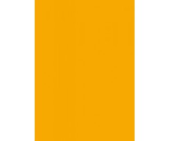 Папір для дизайну Folia Tintedpaper А4 №16 темно-жовтий 130 г/м2 (16826416)