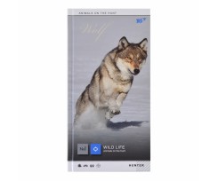 Блокнот YES Wild Force 100х200 мм 64 листа клетка (151475)