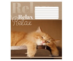 Зошит В5 Мрії збуваються "RELAX" 12 арк., клітинка (ТА5.1211.2418к)