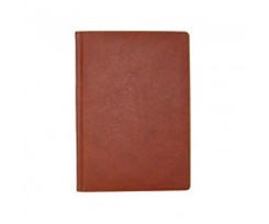 Дневник Economix Office А5 320 страниц коричневый (E22004-07)