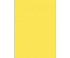 Бумага для дизайна Folia Tintedpaper В2 №12 лимонный 130 г / м2 (16826712)