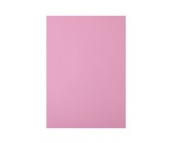 Папір кольоровий Buromax Pastel А4 20 аркушів рожевий (BM.2721220-14)