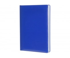 Дневник недатированный Economix Spectrum A5 288 листов синий (E22019)