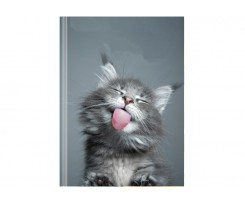 Ежедневник недатированный Economix Color A5 320 страниц принт (E22039)