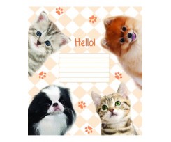 Зошит В5 Мрії Збуваються Hello 24 арк., клітинка (TA5.2411.2513к)