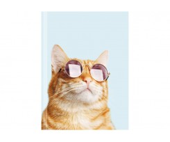 Ежедневник недатированный Economix Color A5 320 страниц принт (E22040)