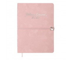 Дневник датированный 2025 Buromax VELOUR A5 336 страниц розовый (BM.2134-10)