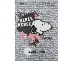 Щоденник шкільний Kite Peanuts Snoopy А5 84 аркуша сірий (SN21-262-1)