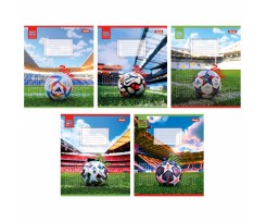Зошит для записів 1В Win А5 36 аркушів клітинка (767056)