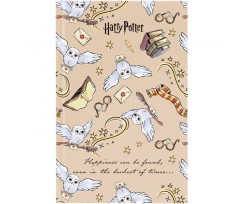 Книга записна Kite Harry Potter тверда обкладинка А6 80 аркушів клітинка (HP23-199-2)