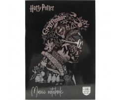 Тетрадь для нот Kite Harry Potter А4 20 листов (HP20-404-2)