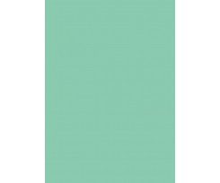 Бумага для дизайна Folia Tintedpaper В2 №25 зелено-мятный 130 г / м2 (16826725)