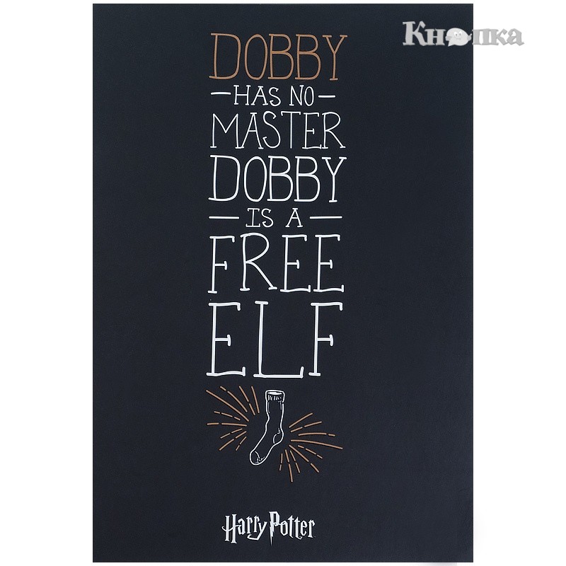 Блокнот Kite Harry Potter A5 50 аркушів клітинка чорний (HP21-194-4)