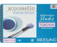 Альбом для акварели на спирали Fabriano Watercolor Studio A4 21х27 см 270 г / м2 12 торшон (72702129)